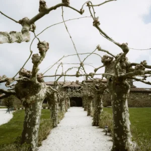 Pasillo de los jardines del pazo santamaria